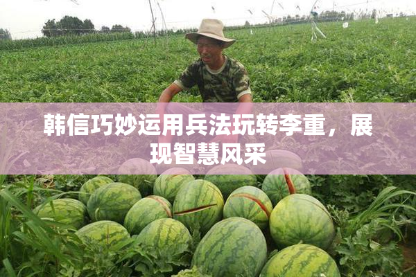 韩信巧妙运用兵法玩转李重，展现智慧风采
