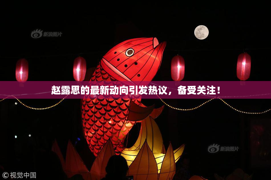 赵露思的最新动向引发热议，备受关注！