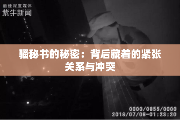 骚秘书的秘密：背后藏着的紧张关系与冲突