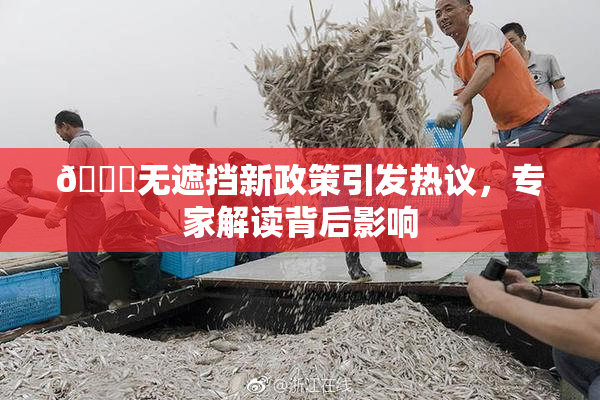 🔞无遮挡新政策引发热议，专家解读背后影响