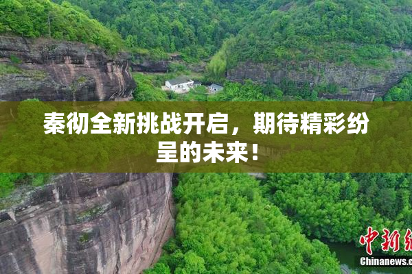 秦彻全新挑战开启，期待精彩纷呈的未来！