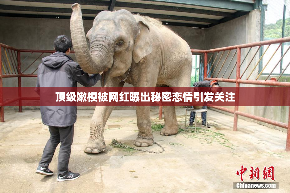 顶级嫩模被网红曝出秘密恋情引发关注