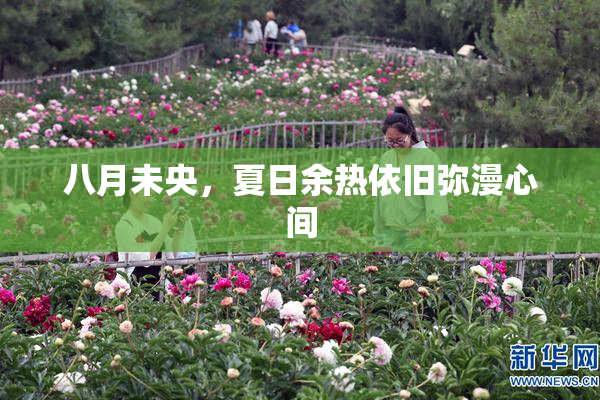 八月未央，夏日余热依旧弥漫心间