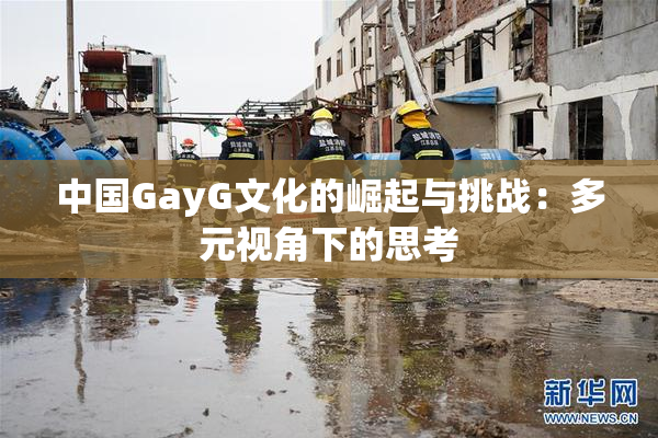 中国GayG文化的崛起与挑战：多元视角下的思考