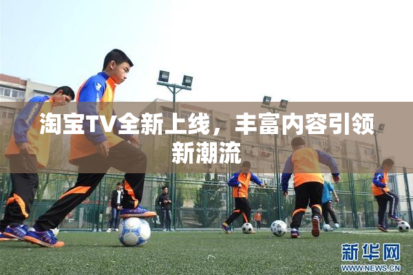 淘宝TV全新上线，丰富内容引领新潮流