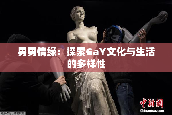 男男情缘：探索GaY文化与生活的多样性