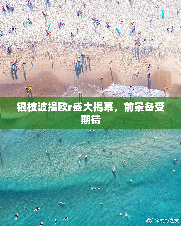 银枝波提欧r盛大揭幕，前景备受期待