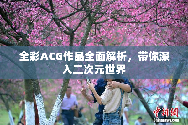 全彩ACG作品全面解析，带你深入二次元世界