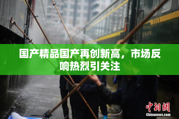 国产精品国产再创新高，市场反响热烈引关注