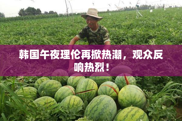 韩国午夜理伦再掀热潮，观众反响热烈！