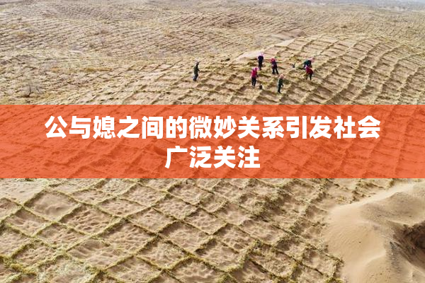 公与媳之间的微妙关系引发社会广泛关注