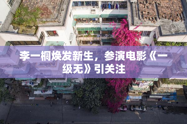 李一桐焕发新生，参演电影《一级无》引关注