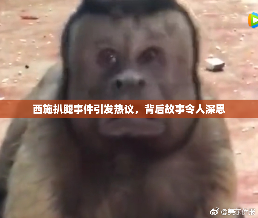 西施扒腿事件引发热议，背后故事令人深思