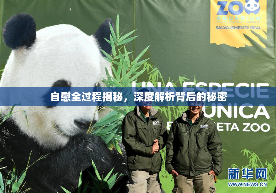 自慰全过程揭秘，深度解析背后的秘密