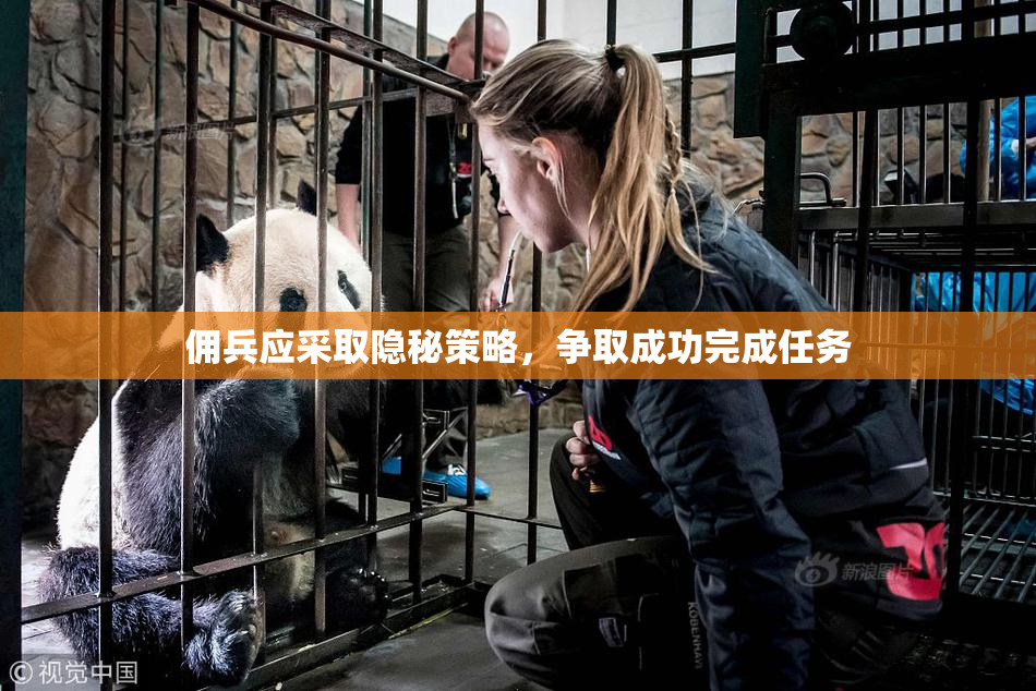 佣兵应采取隐秘策略，争取成功完成任务
