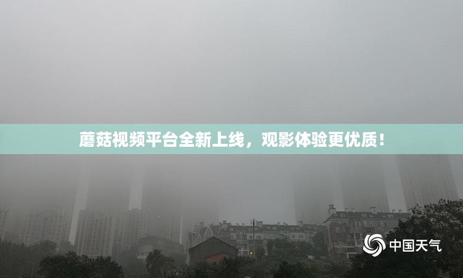 蘑菇视频平台全新上线，观影体验更优质！