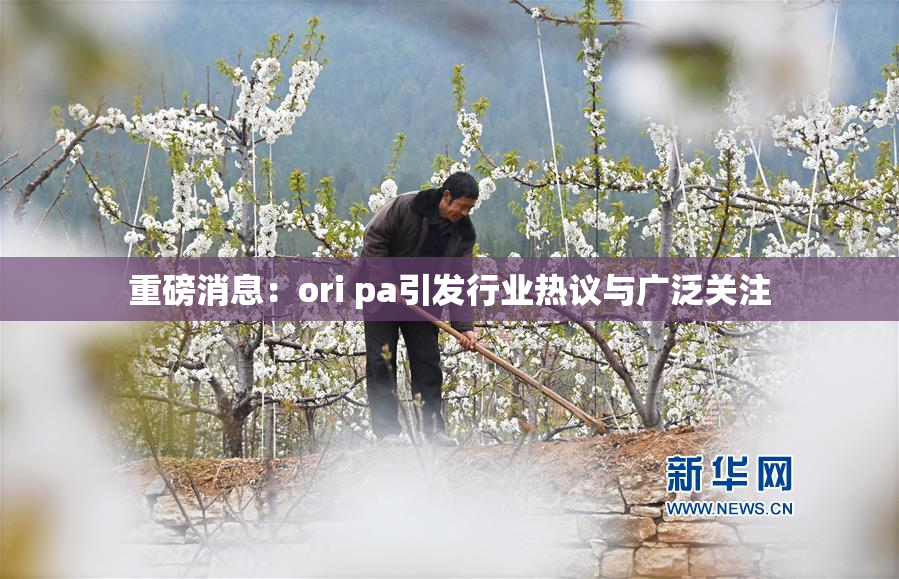 重磅消息：ori pa引发行业热议与广泛关注