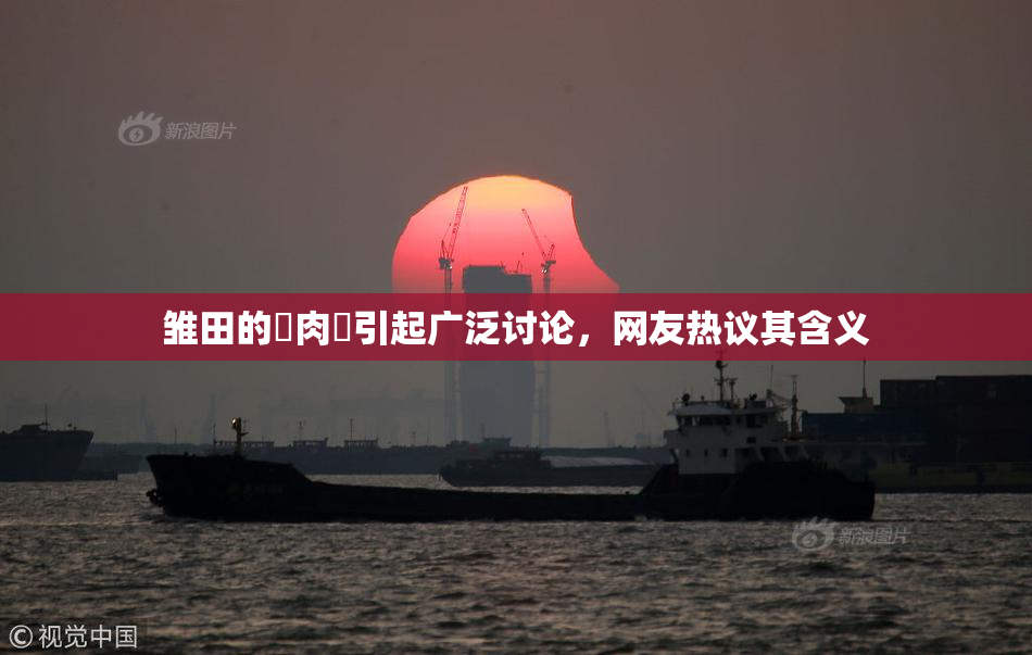 雏田的婬肉泬引起广泛讨论，网友热议其含义