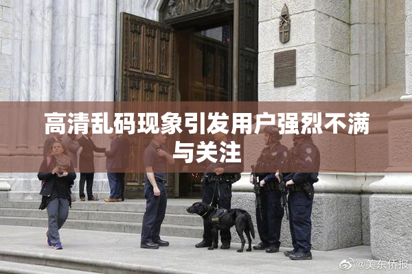 高清乱码现象引发用户强烈不满与关注