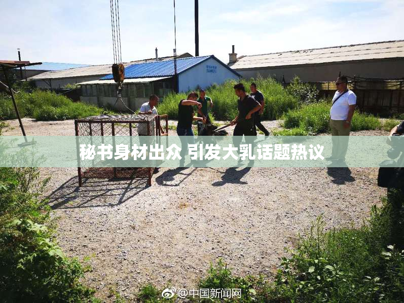 秘书身材出众 引发大乳话题热议