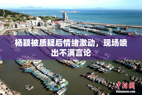 杨颖被质疑后情绪激动，现场喷出不满言论