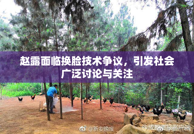 赵露面临换脸技术争议，引发社会广泛讨论与关注