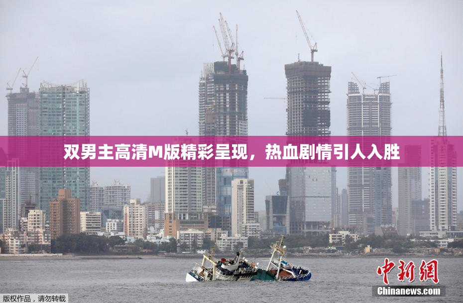双男主高清M版精彩呈现，热血剧情引人入胜