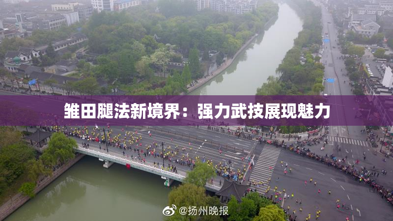 雏田腿法新境界：强力武技展现魅力