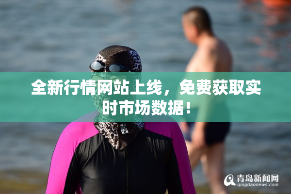 全新行情网站上线，免费获取实时市场数据！