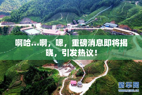 啊哈…啊，嗯，重磅消息即将揭晓，引发热议！