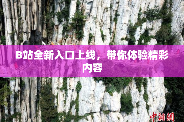 B站全新入口上线，带你体验精彩内容
