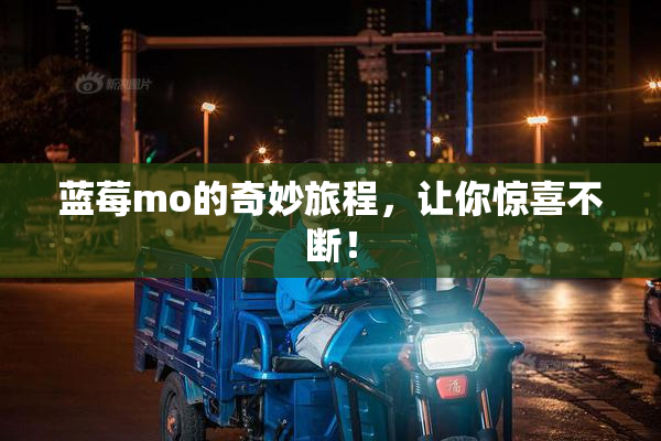 蓝莓mo的奇妙旅程，让你惊喜不断！