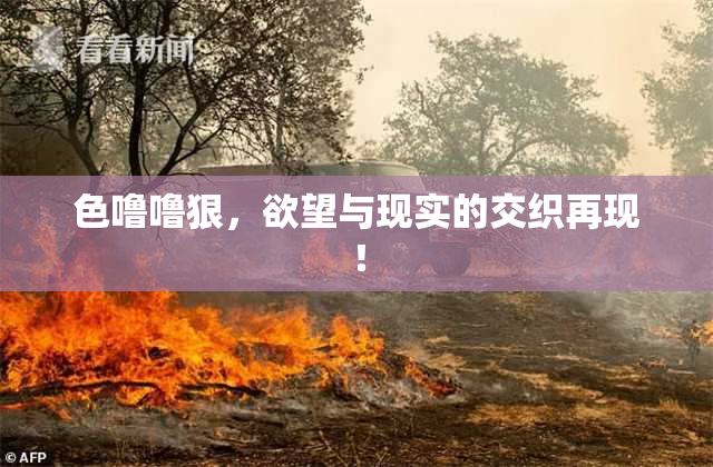色噜噜狠，欲望与现实的交织再现！