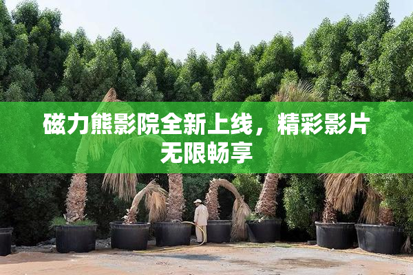 磁力熊影院全新上线，精彩影片无限畅享