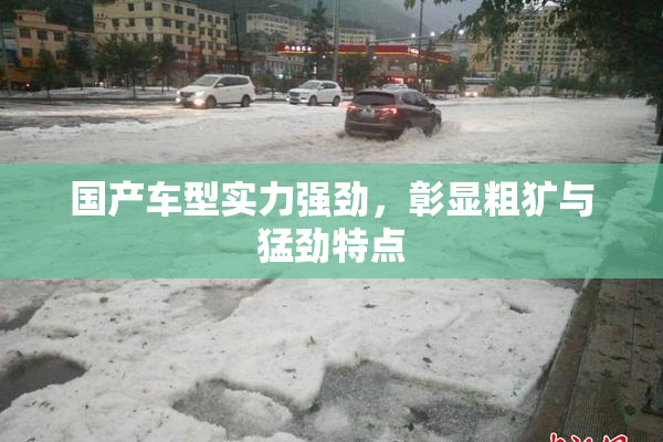 国产车型实力强劲，彰显粗犷与猛劲特点