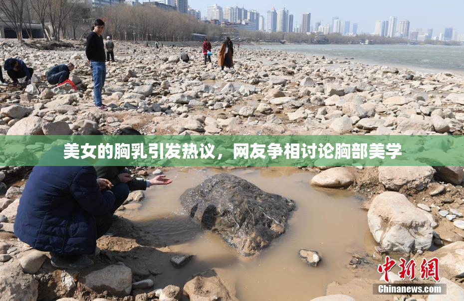 美女的胸乳引发热议，网友争相讨论胸部美学