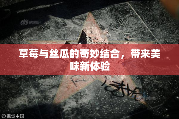 草莓与丝瓜的奇妙结合，带来美味新体验