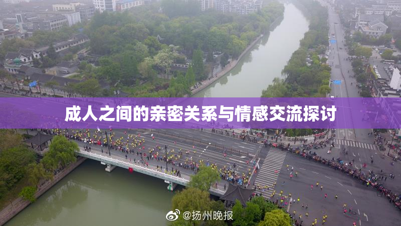 成人之间的亲密关系与情感交流探讨