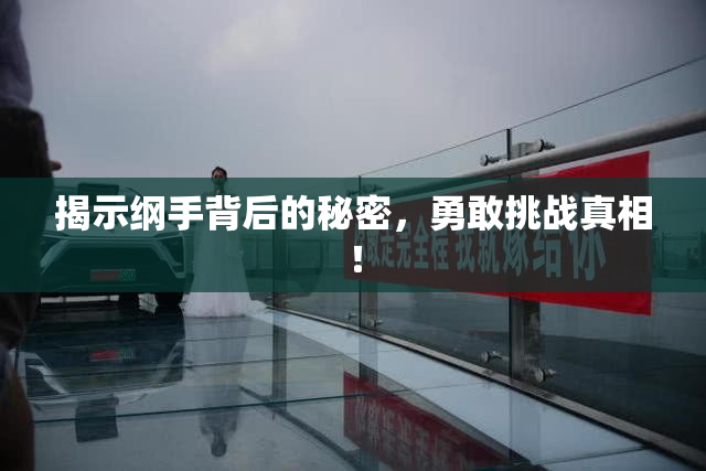 揭示纲手背后的秘密，勇敢挑战真相！