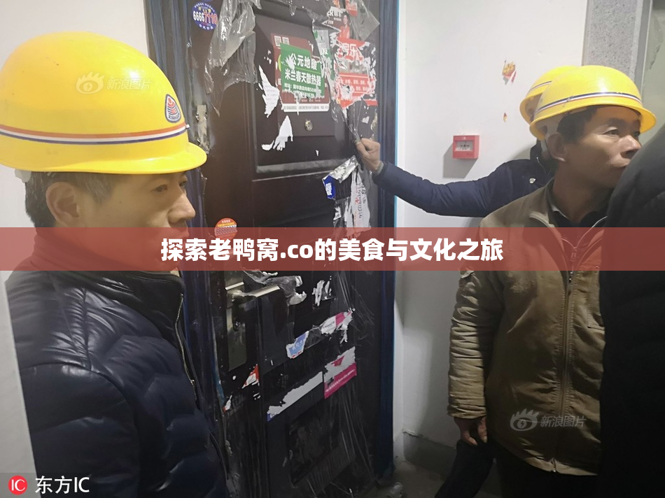 探索老鸭窝.co的美食与文化之旅