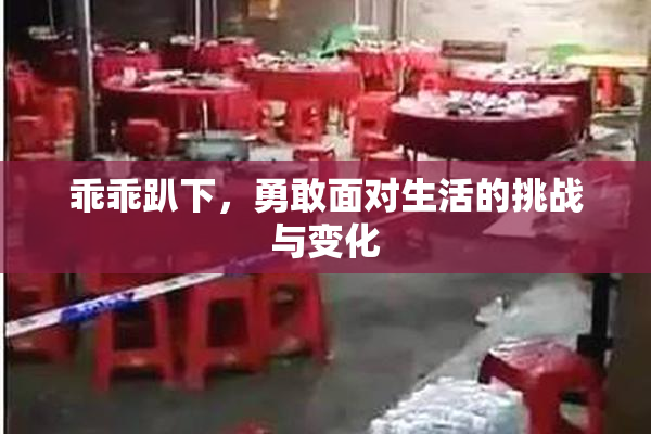 乖乖趴下，勇敢面对生活的挑战与变化