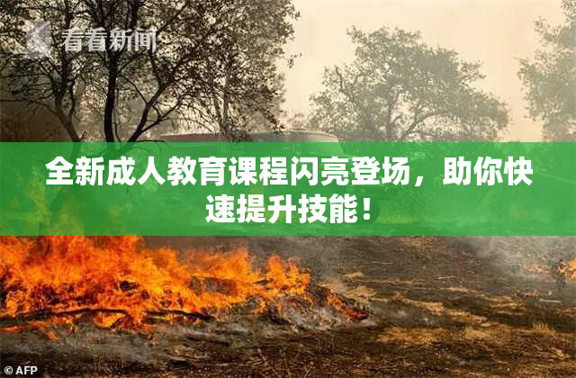 全新成人教育课程闪亮登场，助你快速提升技能！