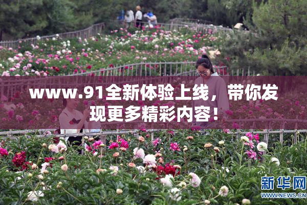 www.91全新体验上线，带你发现更多精彩内容！