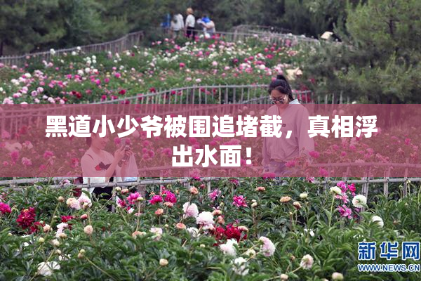 黑道小少爷被围追堵截，真相浮出水面！