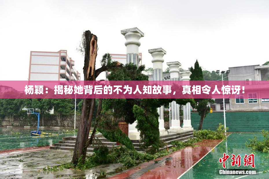 杨颖：揭秘她背后的不为人知故事，真相令人惊讶！