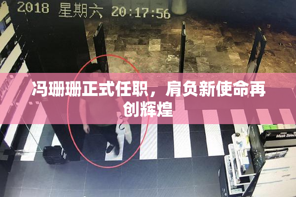 冯珊珊正式任职，肩负新使命再创辉煌