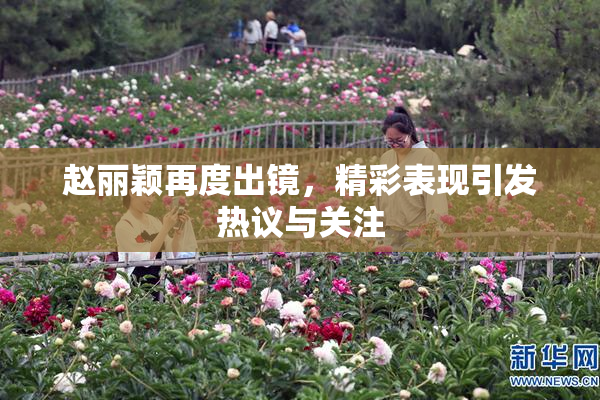 赵丽颖再度出镜，精彩表现引发热议与关注