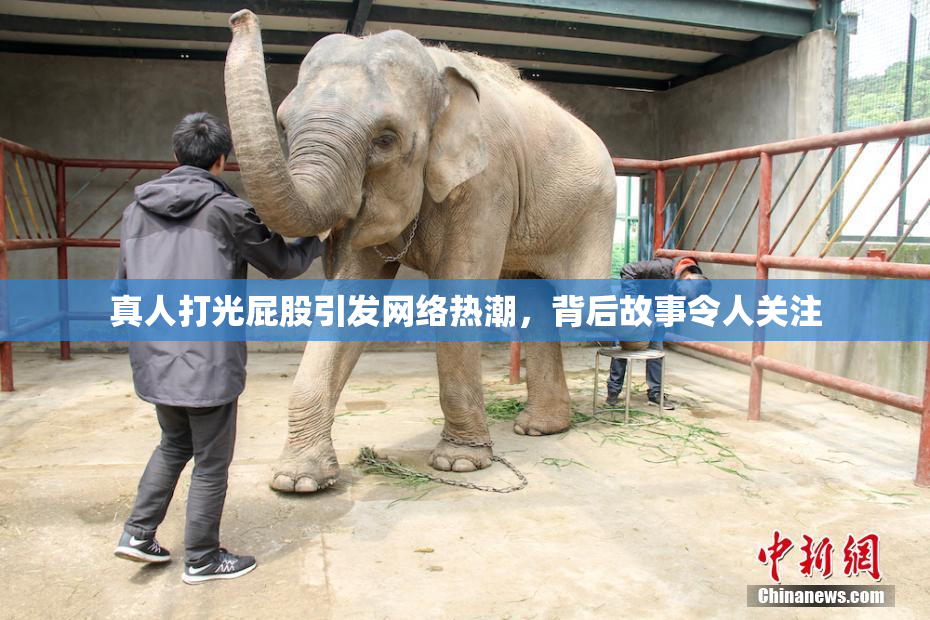 真人打光屁股引发网络热潮，背后故事令人关注