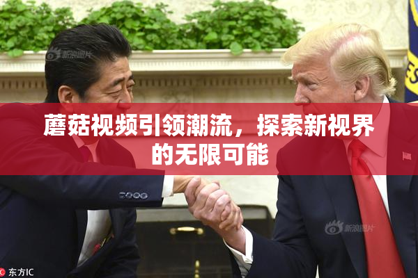 蘑菇视频引领潮流，探索新视界的无限可能
