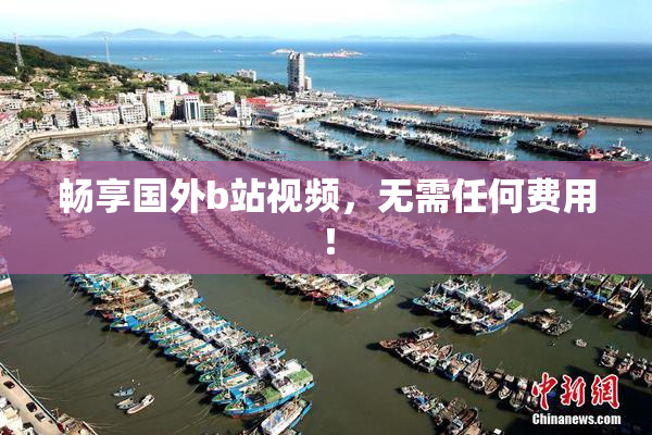 畅享国外b站视频，无需任何费用！